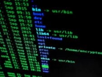 Hacking 1.jpg Hacking 1.jpg